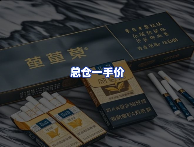 专业团队